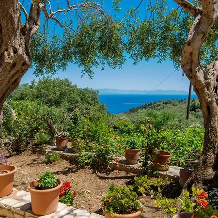 Romanatika Paxos By Dandelion *